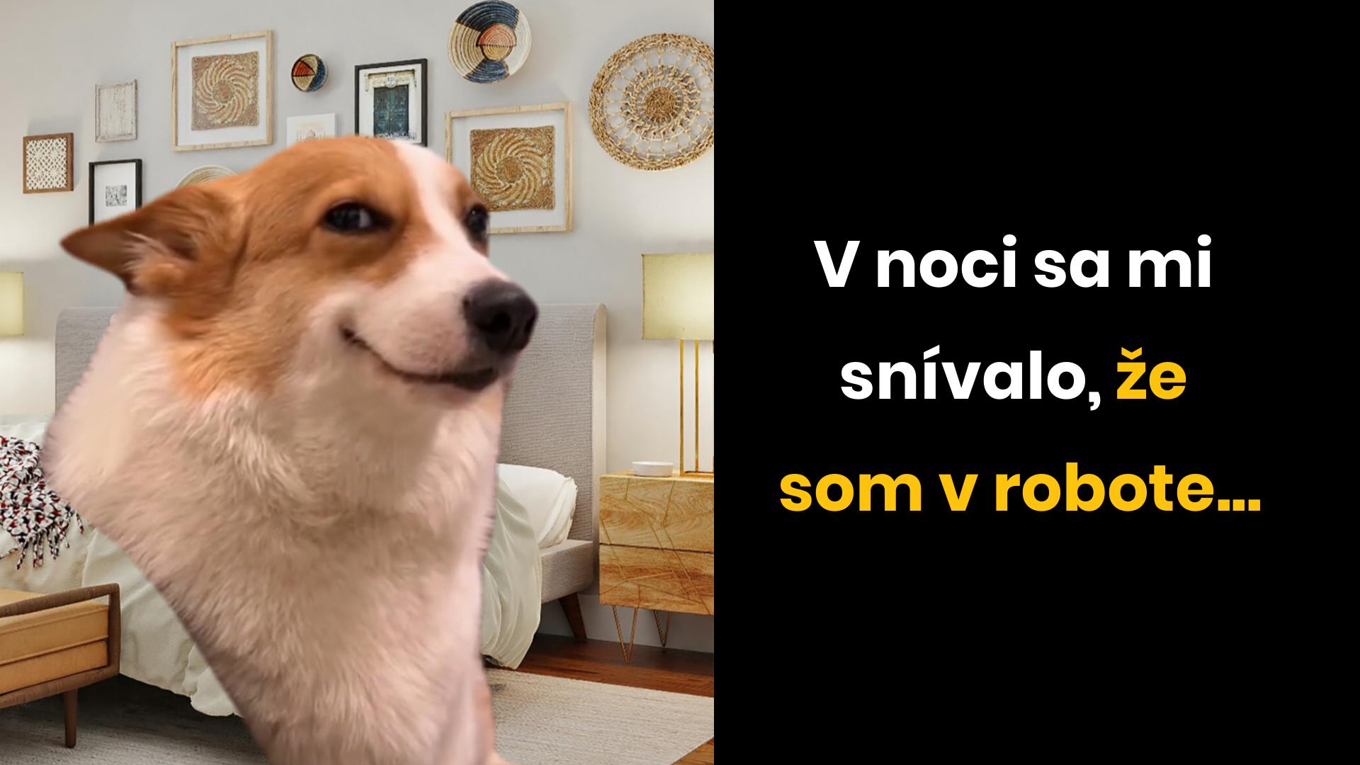 Pracuje sa iba raz za deň