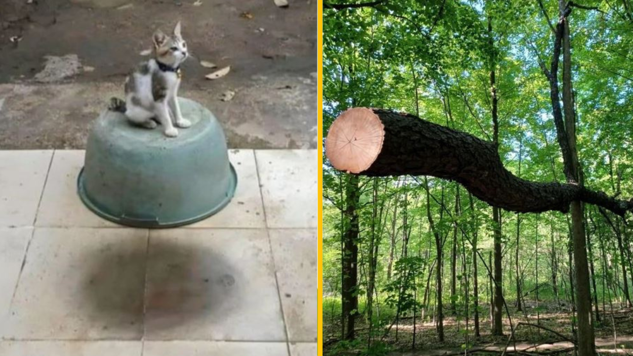 19 náhod, ktoré sa zdajú byť príliš dokonalé na to, aby boli náhodné