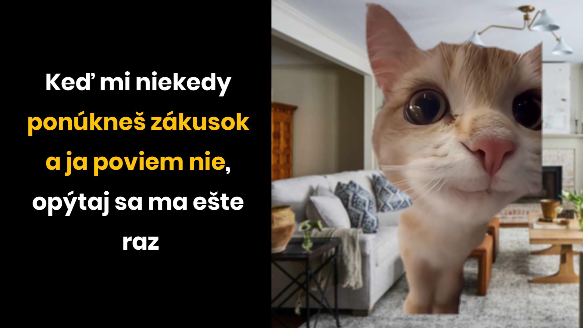 Nie=Áno