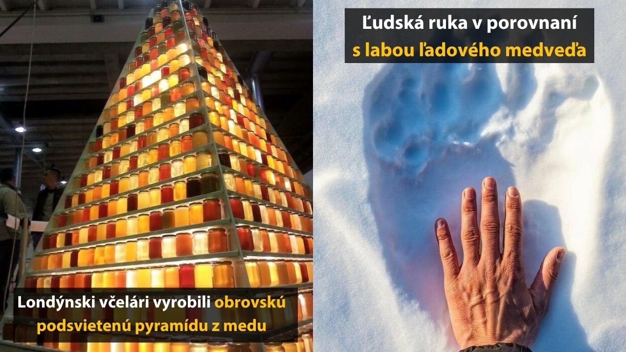 Týchto 10 porovnaní vám ponúkne úplne iný pohľad na svet, 1.časť