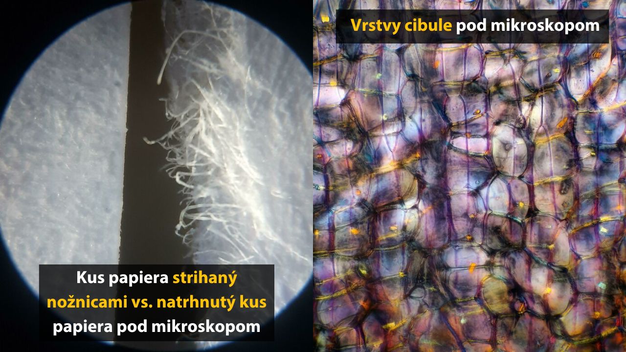 10 fotografií predmetov pod mikroskopom, ktoré ste ešte určite nevideli – 2. časť