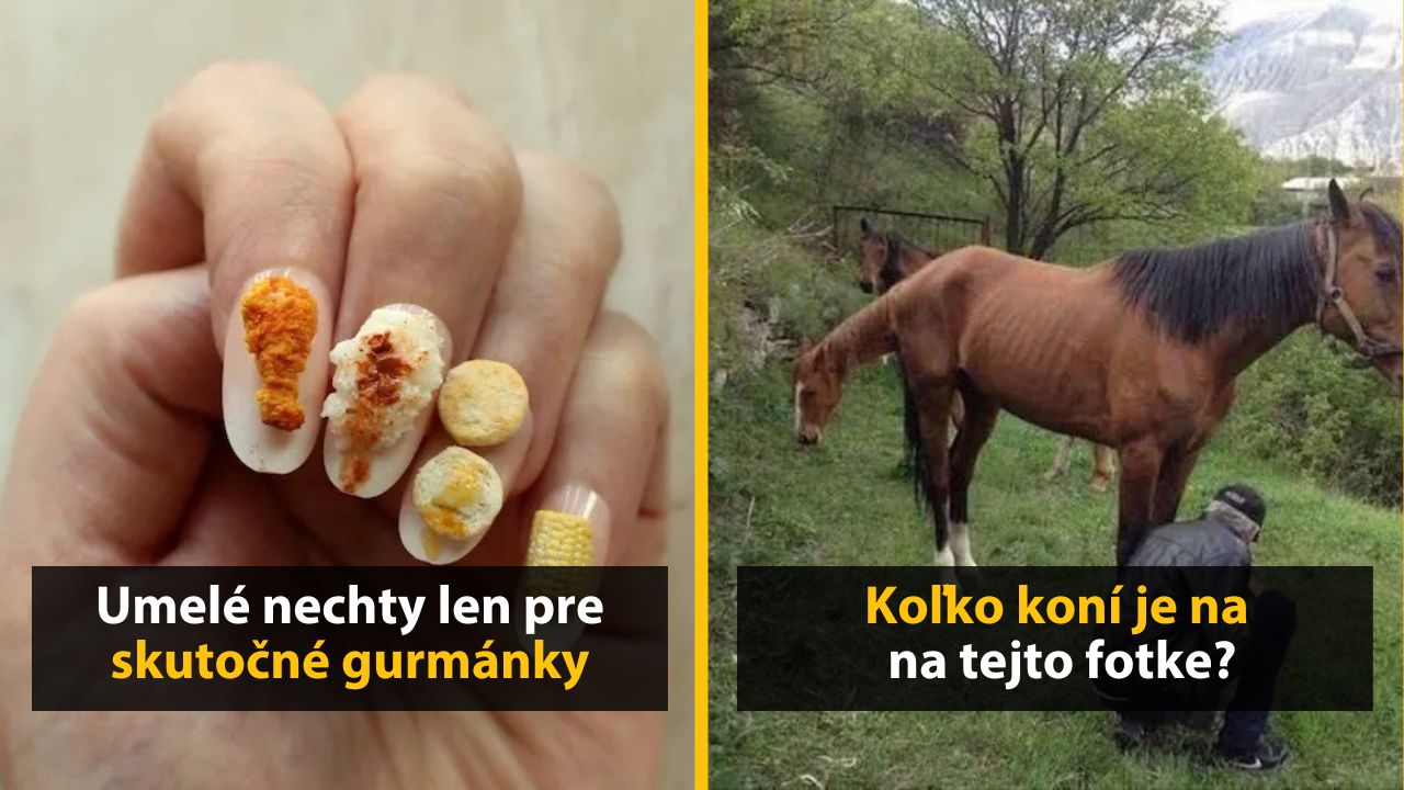 30+ Obrázkov, ktorými dokonale zabiješ čas #580 – Auto pre samotárov alebo nechty len pre skutočné gurmánky