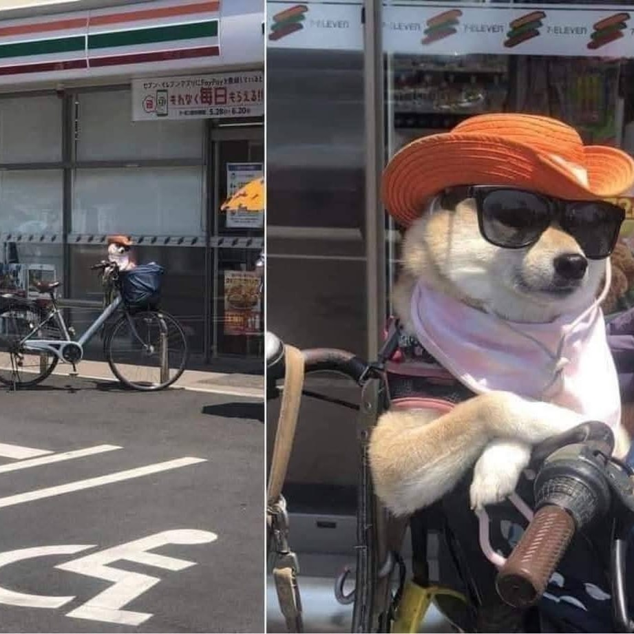 Klobúk, okuliare a prístroj v popredí skladajú humornú turistickú scénu.