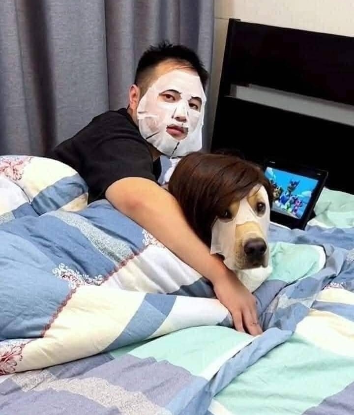 Maska na ľudskej tvári sa v kompozícii približuje k farebnému vzoru psa.