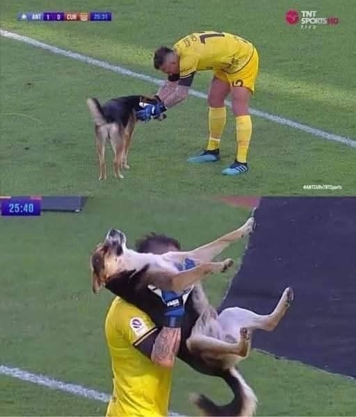 Športovec v žltom nesie zviera cez trávnaté ihrisko.