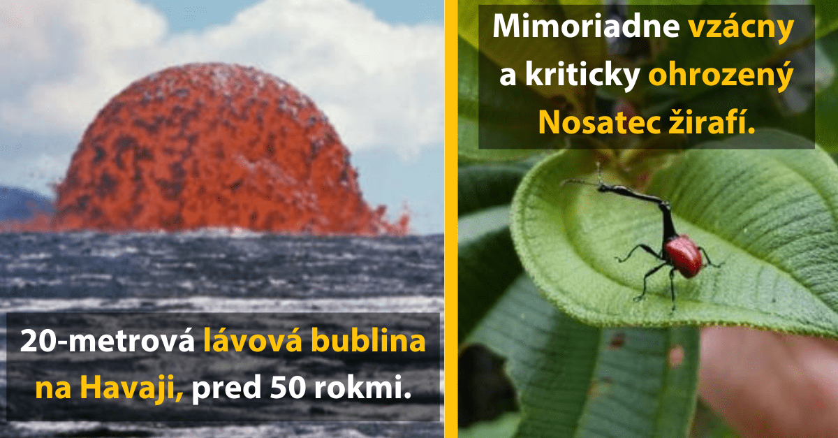 15 fascinujúcich fotografií, ktoré vám ukážu svet z iného uhla