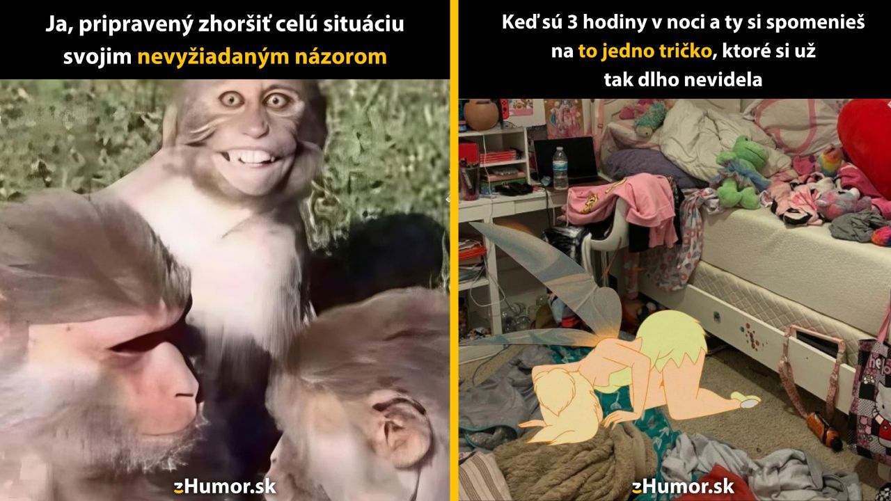 Zopár memečiek, ktoré vznikli, aby ti spríjemnili deň #1571: Ako to myslíte, že sa nikto nepýtal?