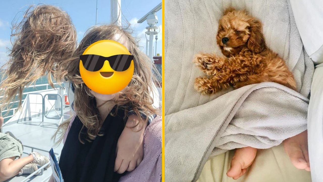 11 fotografií, ktoré sú vynikajúcim zdrojom zmätku