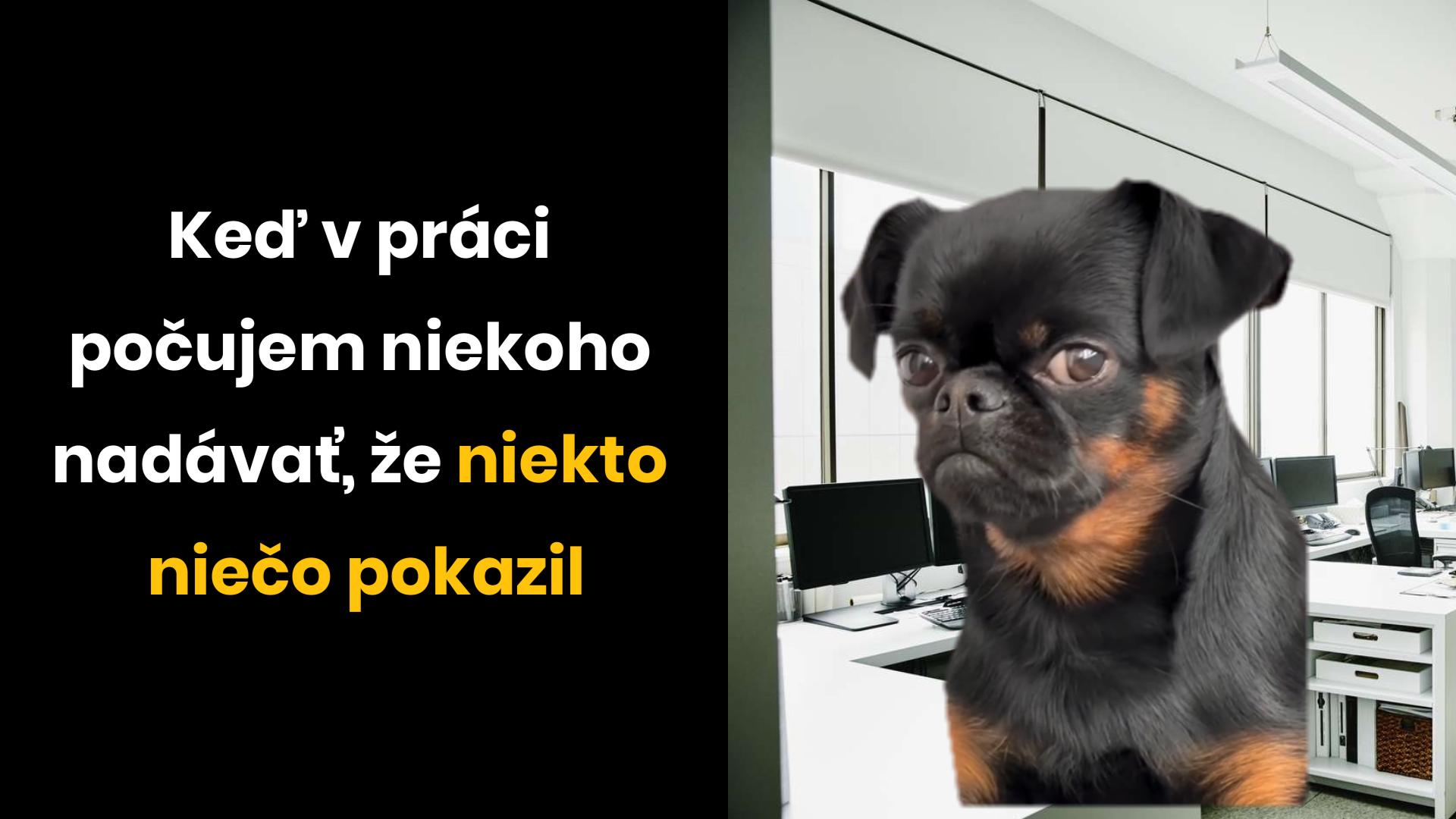 To musel byť riadny dilino