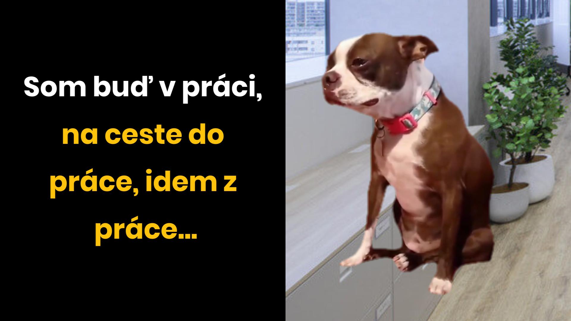 Cyklus života