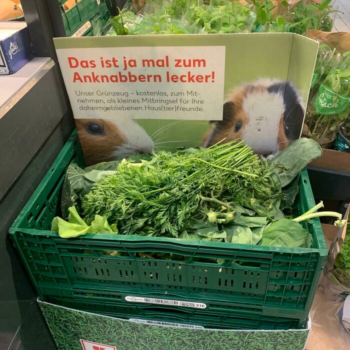 Nápis pri zelených listoch ich na archívnej fotografii ponúka pre domáce zvieratá.