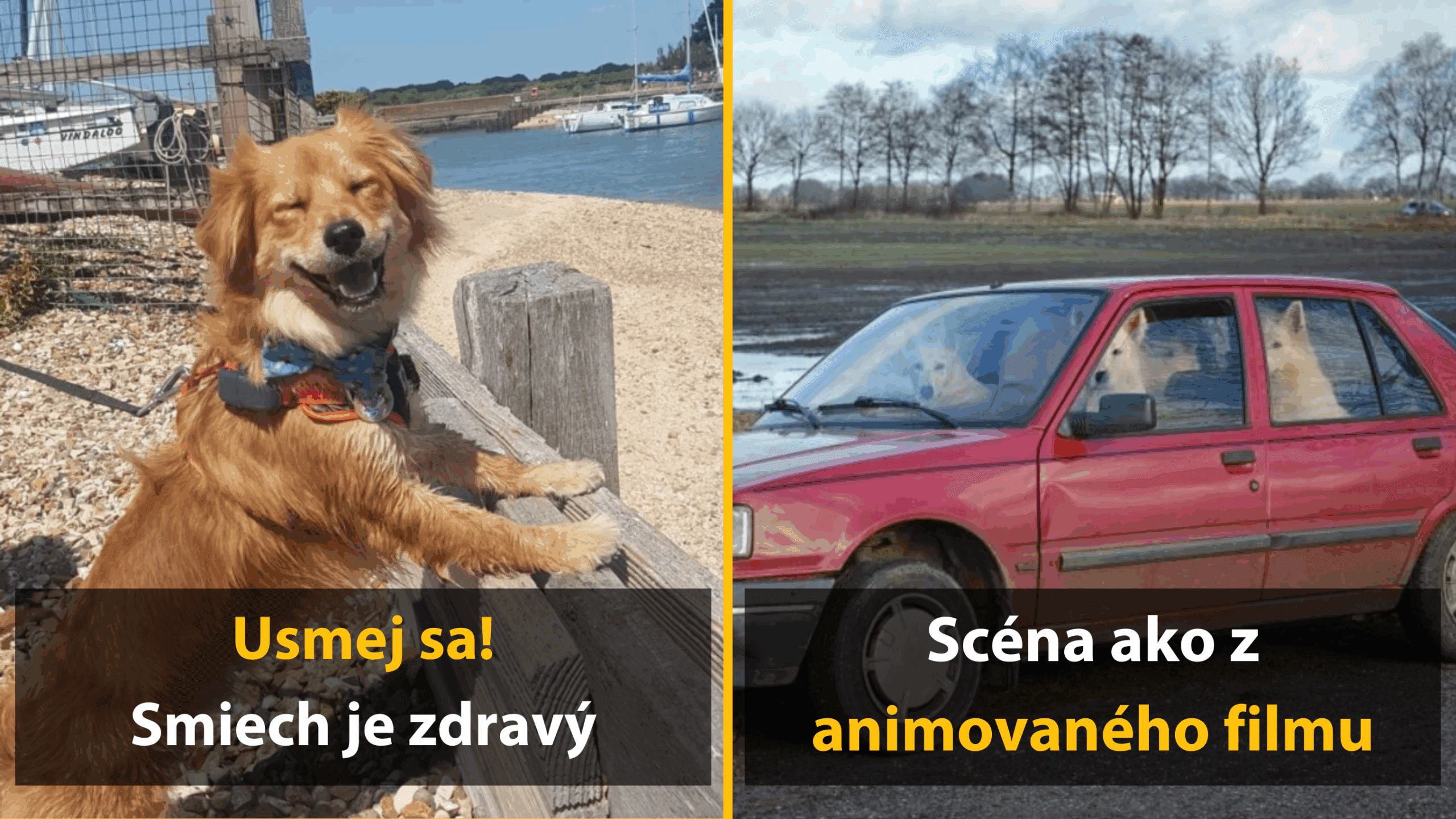 15 vtipných fotiek, ktoré dokazujú že príroda má zmysel pre humor