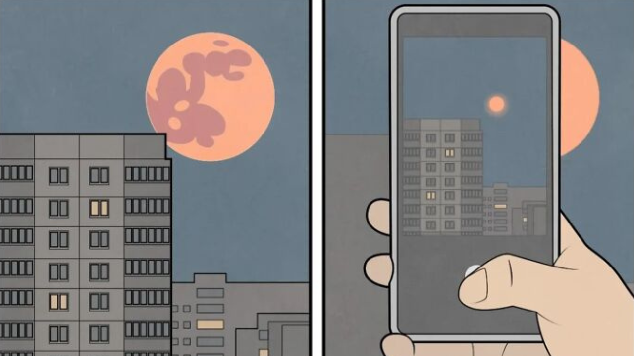 13 ilustrácií „Yes, But“: každodenné rozpory v dvoch obrázkoch