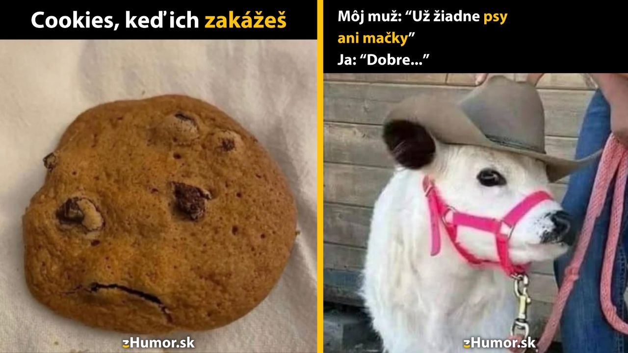 Zopár memečiek, ktoré vznikli, aby ti spríjemnili deň #1587: Vôbec ti nevadí, ako sa cítime?