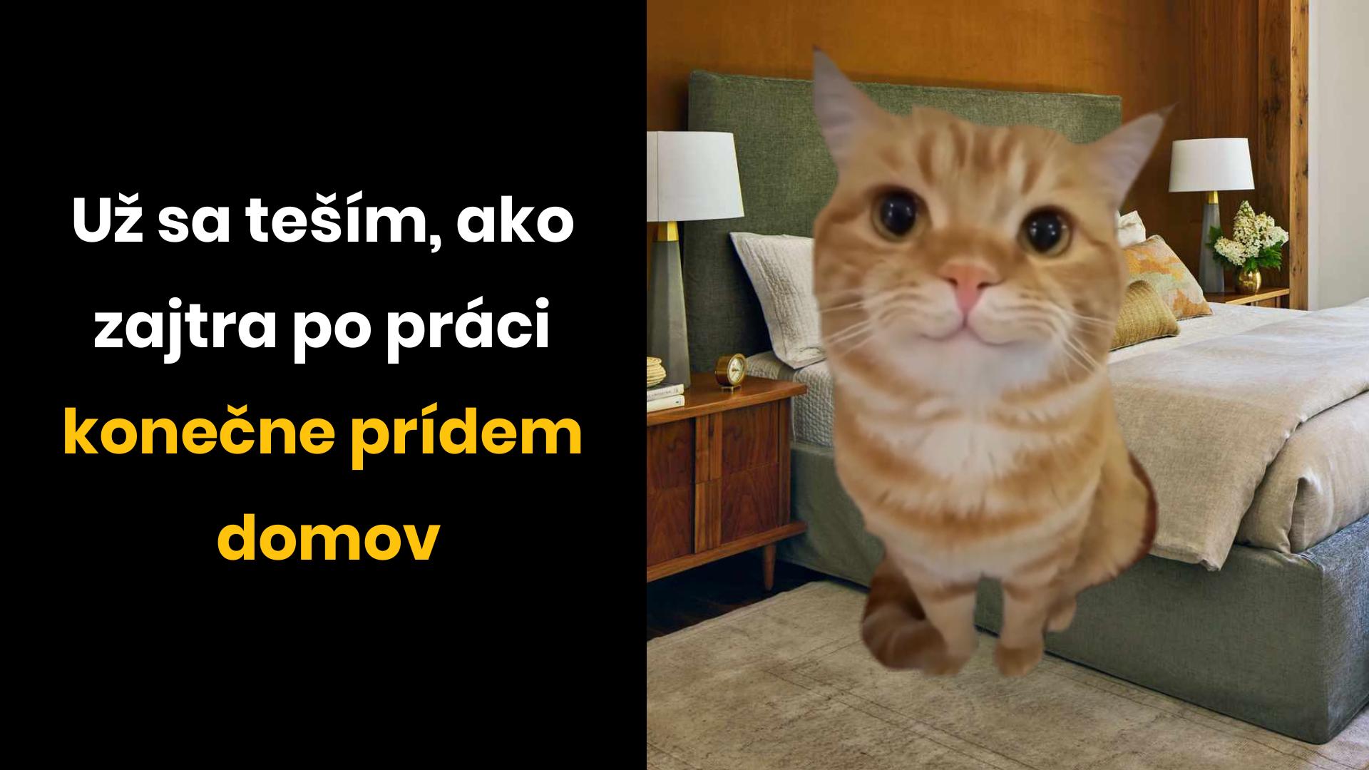 Žijem v budúcnosti