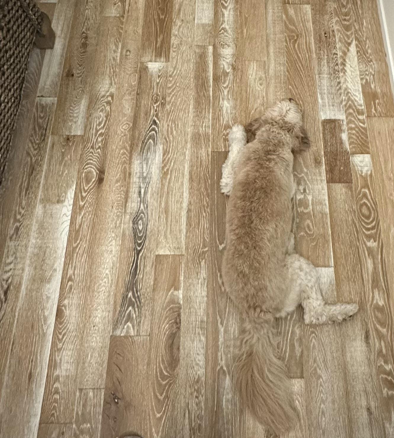 Svetlá srsť kopíruje odtieň aj smer dreveného vzoru.