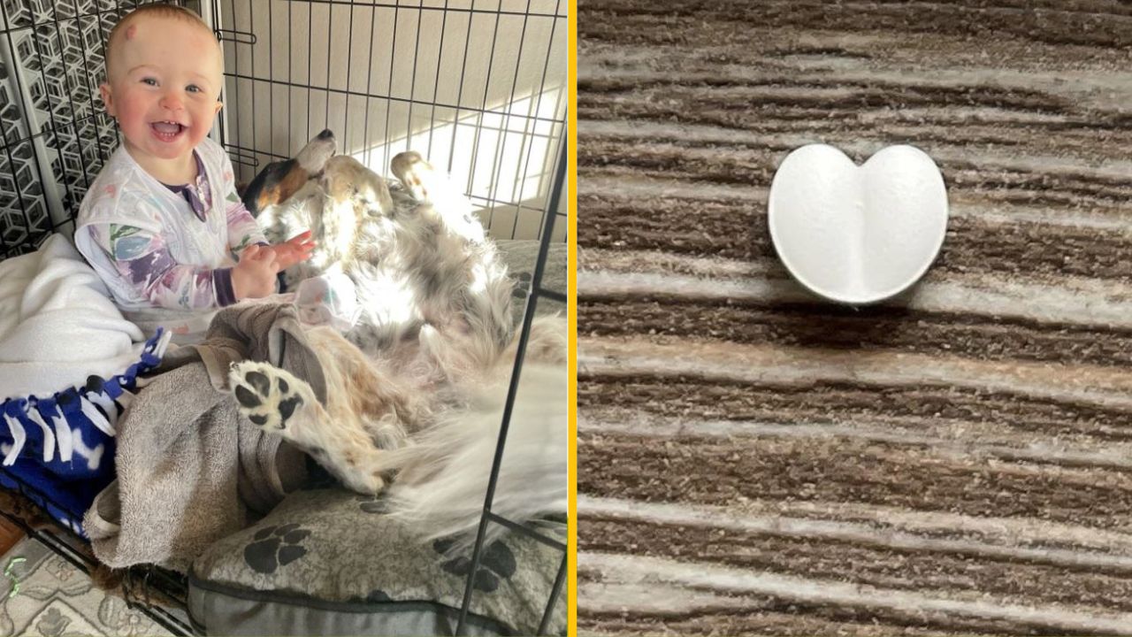 16 ľudí, ktorí objavili niečo, čo im vyčarilo úsmev na tvári