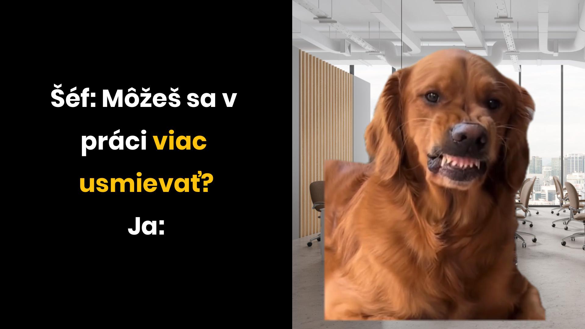 Zachráni to firmu pred skrachovaním?