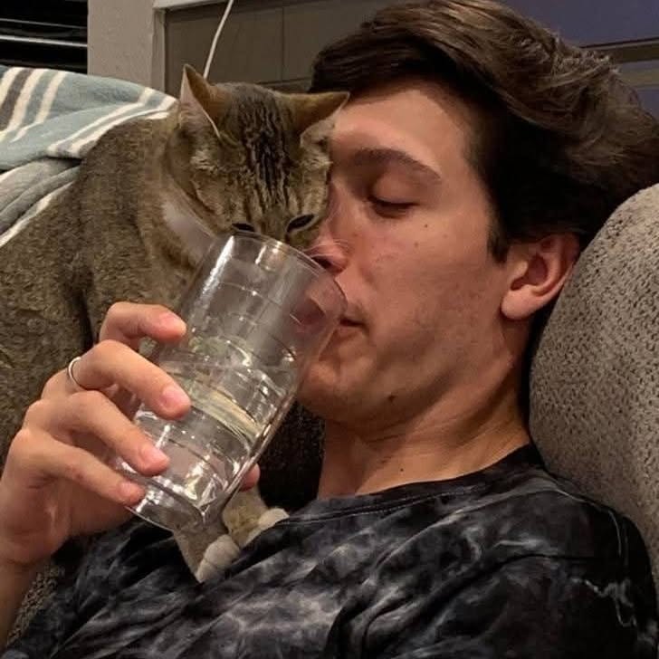 Tvár človeka aj mačky sa priblížili k rovnakému okraju pohára.