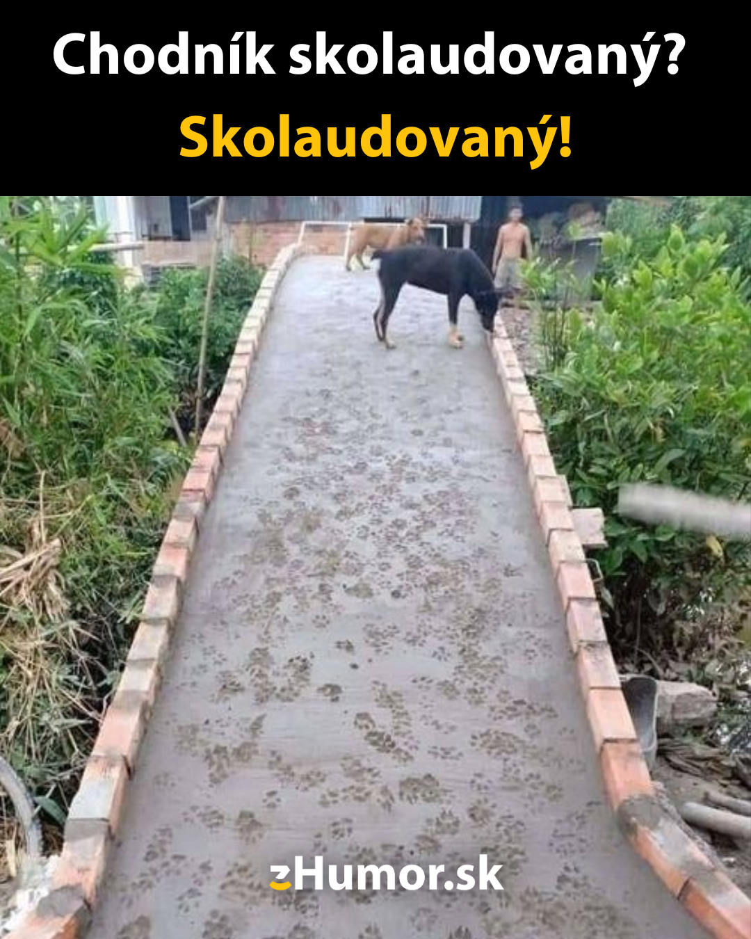 Úspešná kolaudácia