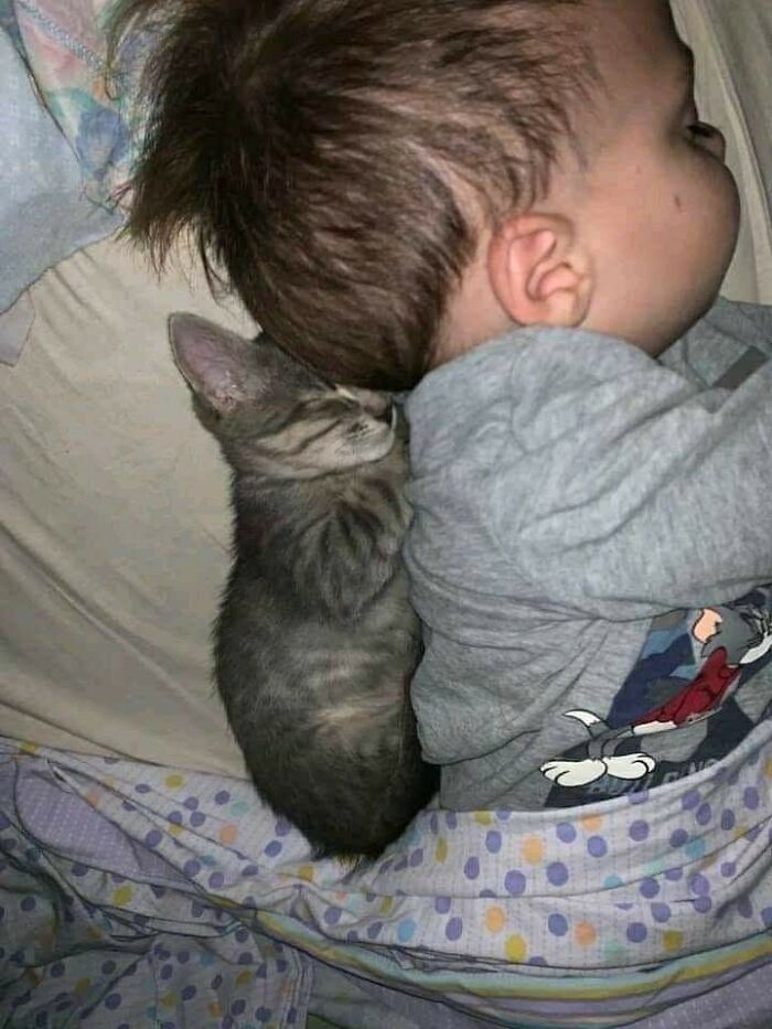 Dieťa a mačiatko spia spolu, pritúlené pod dekou, zobrazujúc pokoj a priateľstvo.