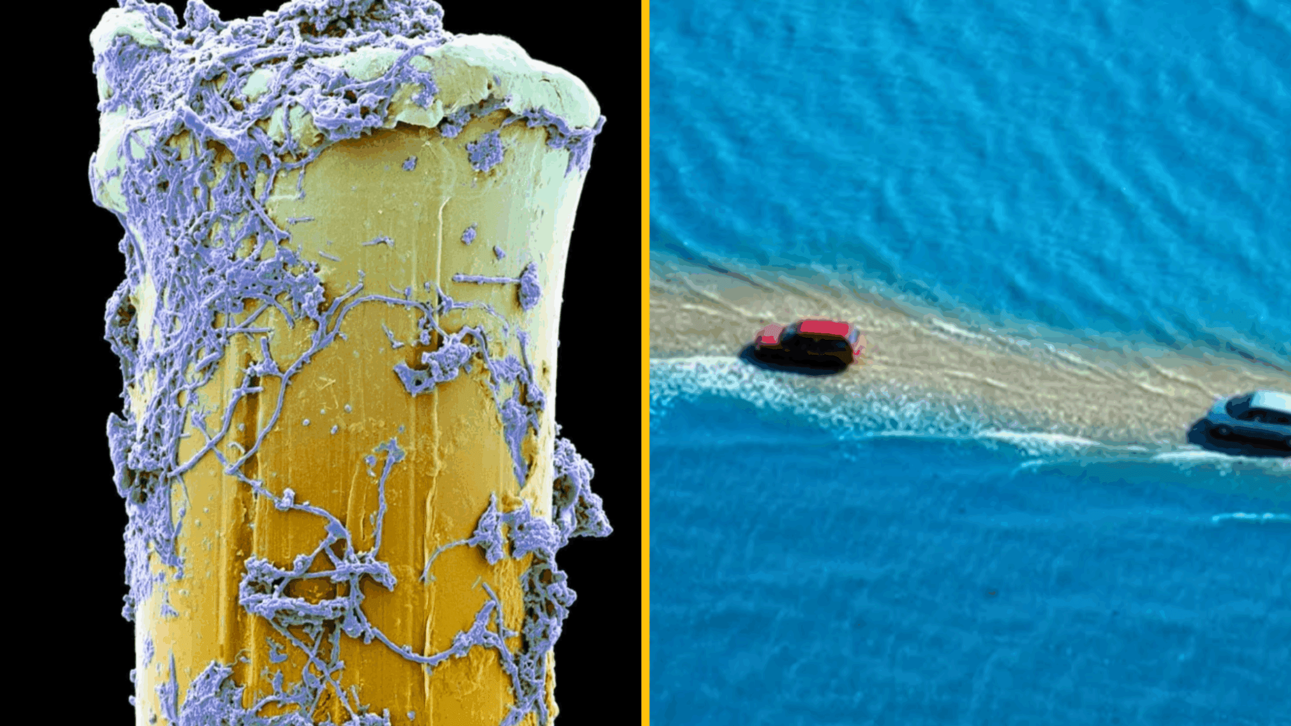 10 fascinujúcich fotografií, ktoré by ste si nemali nechať ujsť
