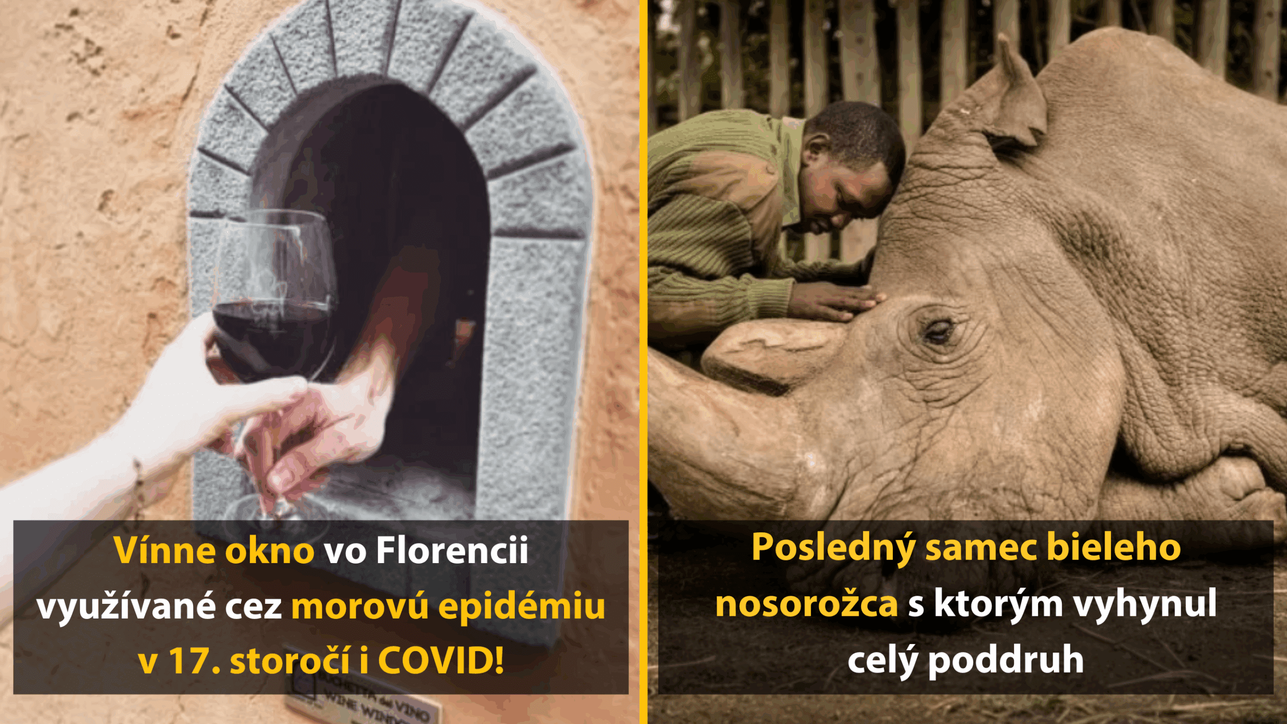 10 dojímavých fotografií s príbehom, ktorý vás zasiahne