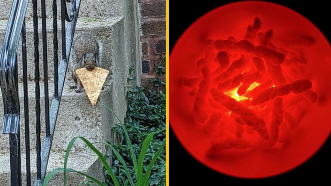 17 fotografii, ktoré sú príliš zaujímavé na to, aby sme vám ich neukázali