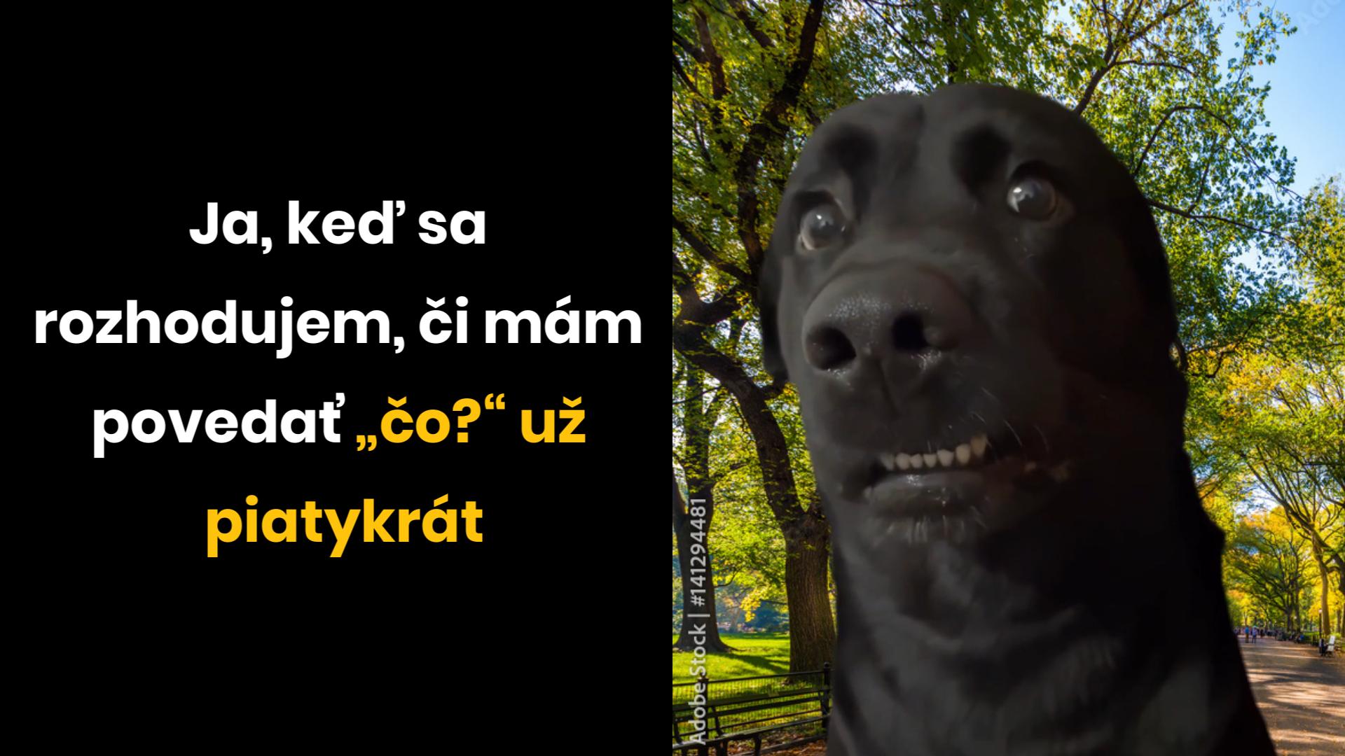 Som trochu hluchý