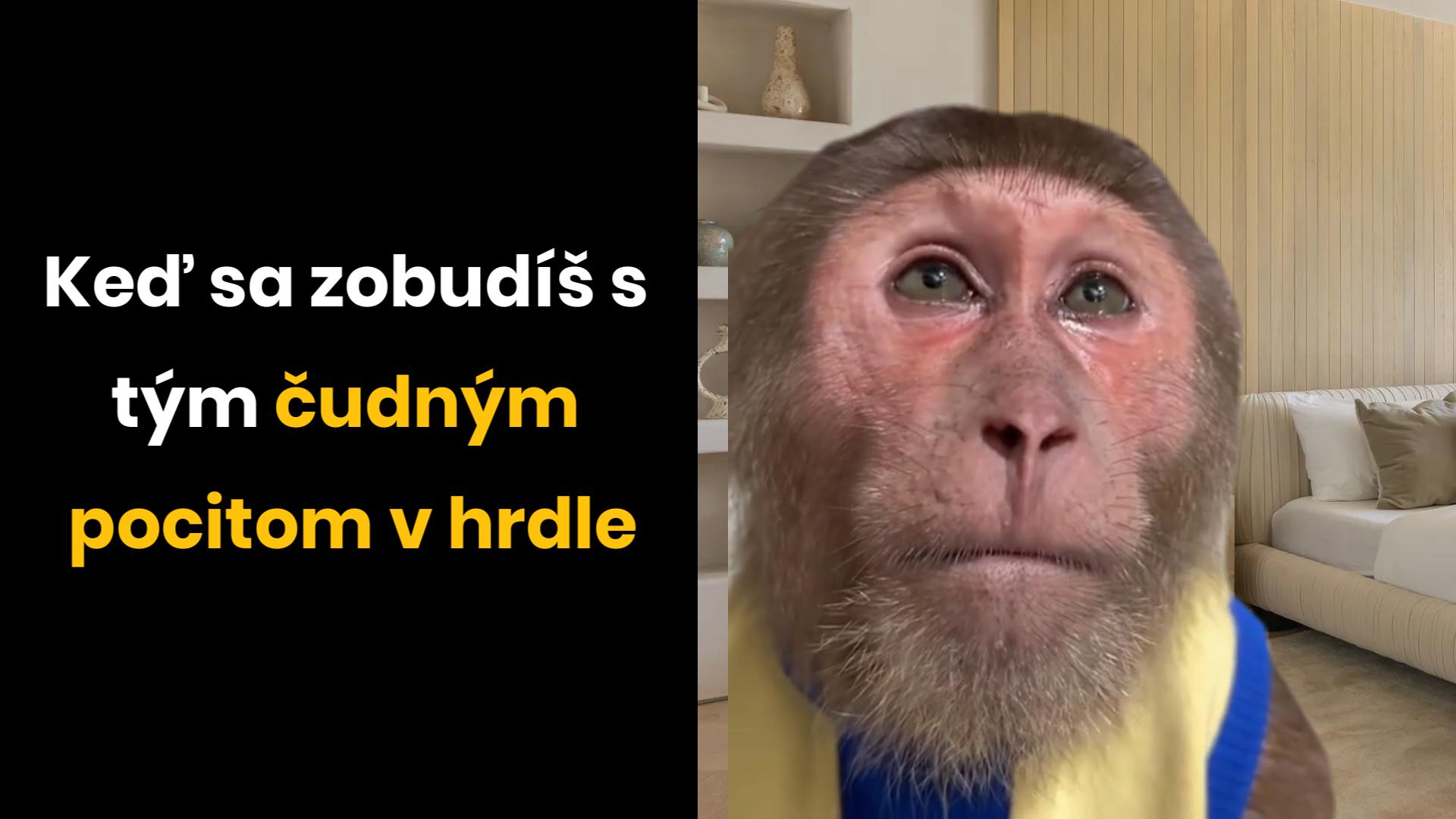 Začiatok konca