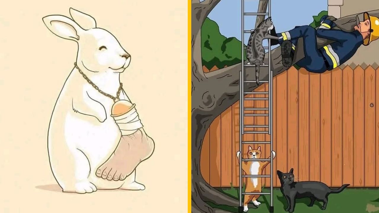 10 trefných ilustrácií, na ktorých sa ľudia vymenili so zvieratami