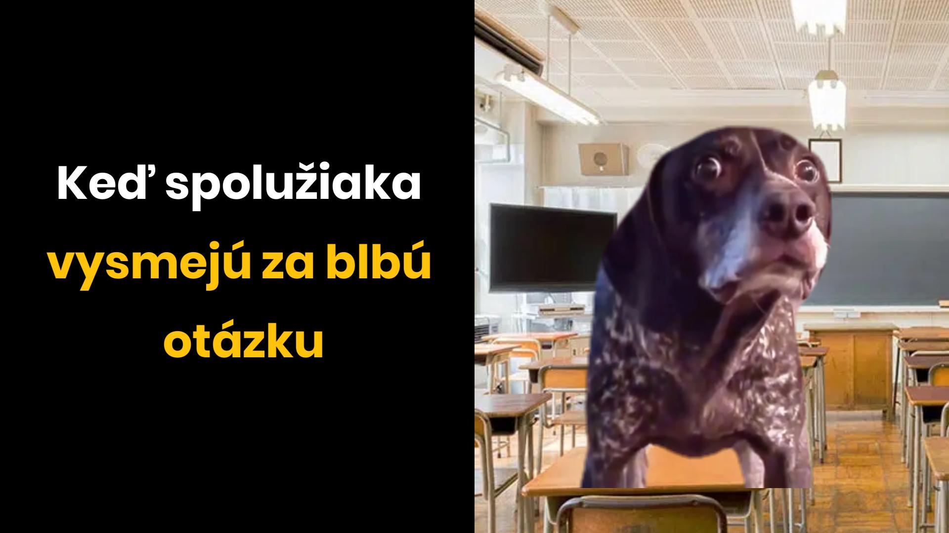 Nepriznám sa