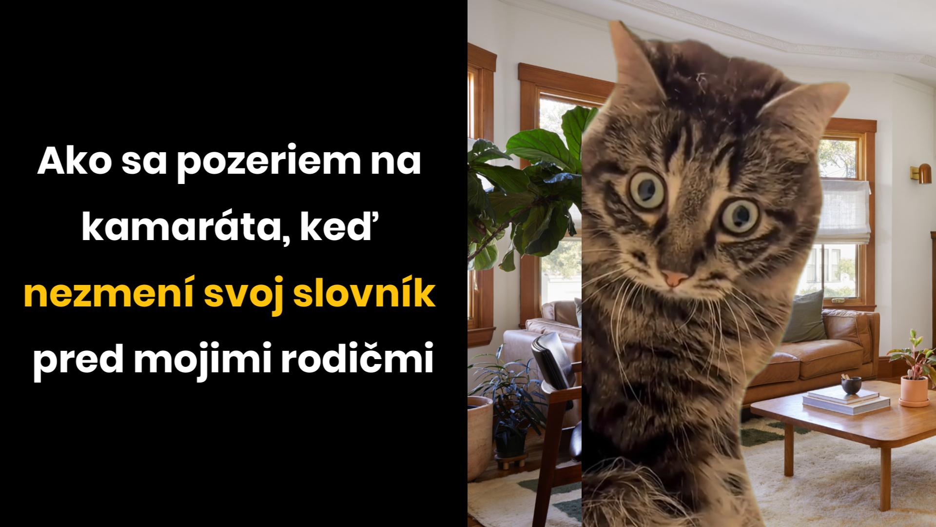 Do pi-tvora!
