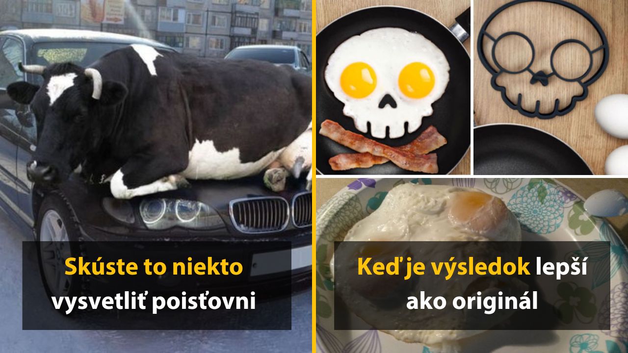 10 nečakaných momentov, ktoré vylepšili ľudia so špecifickým zmyslom pre humor