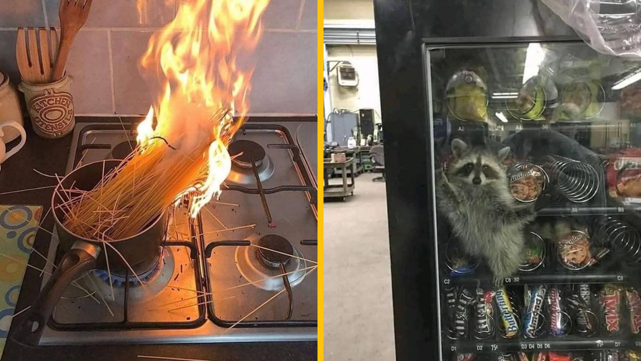 10 nešťastných duší, ktoré dnes rozhodne nemali vydarený deň