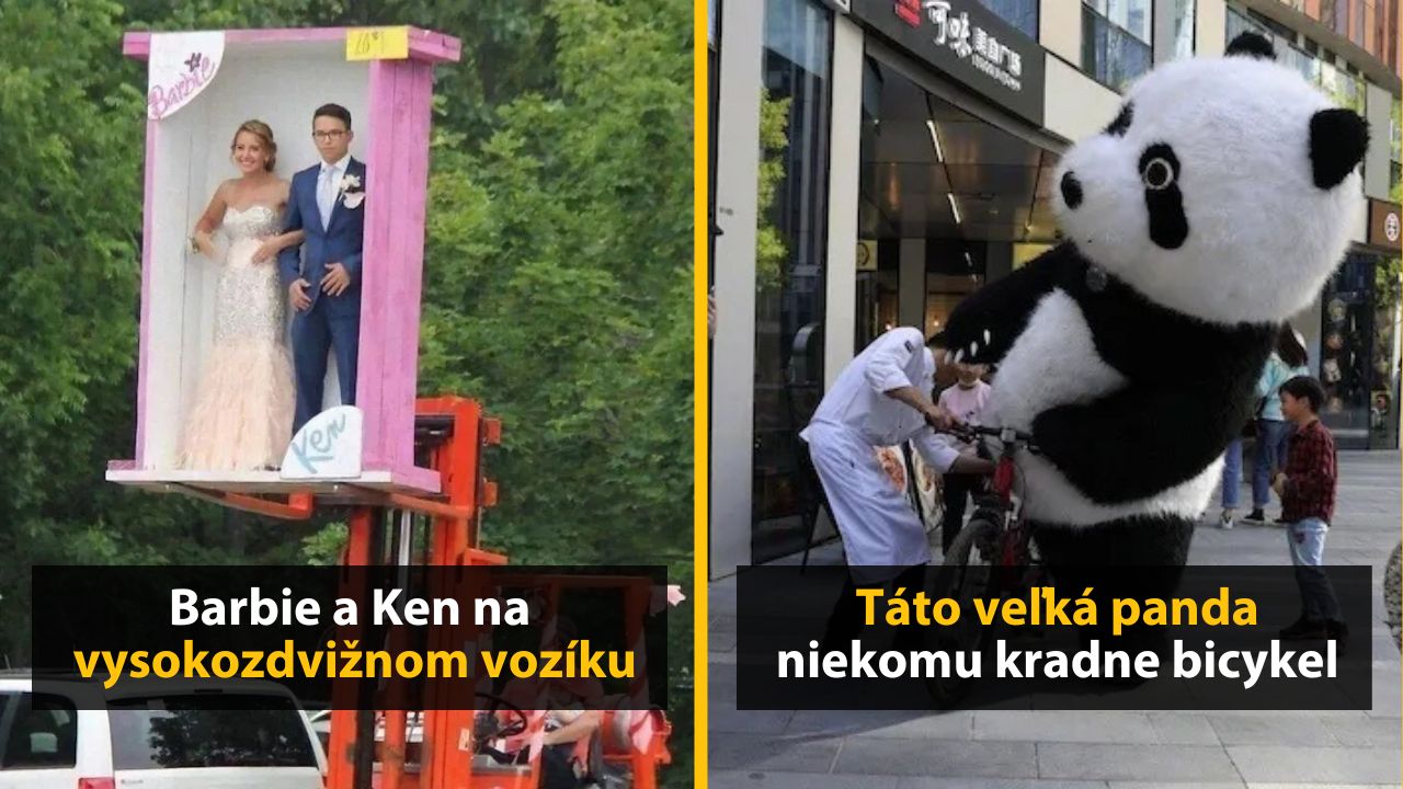 30+ Obrázkov, ktorými dokonale zabiješ čas #605 – Robot fajčí cigaretu alebo panda, ktorá kradne bicykel
