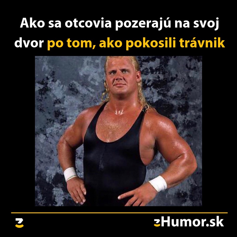 Ako sa tvária otcovia, keď pokosia trávnik?