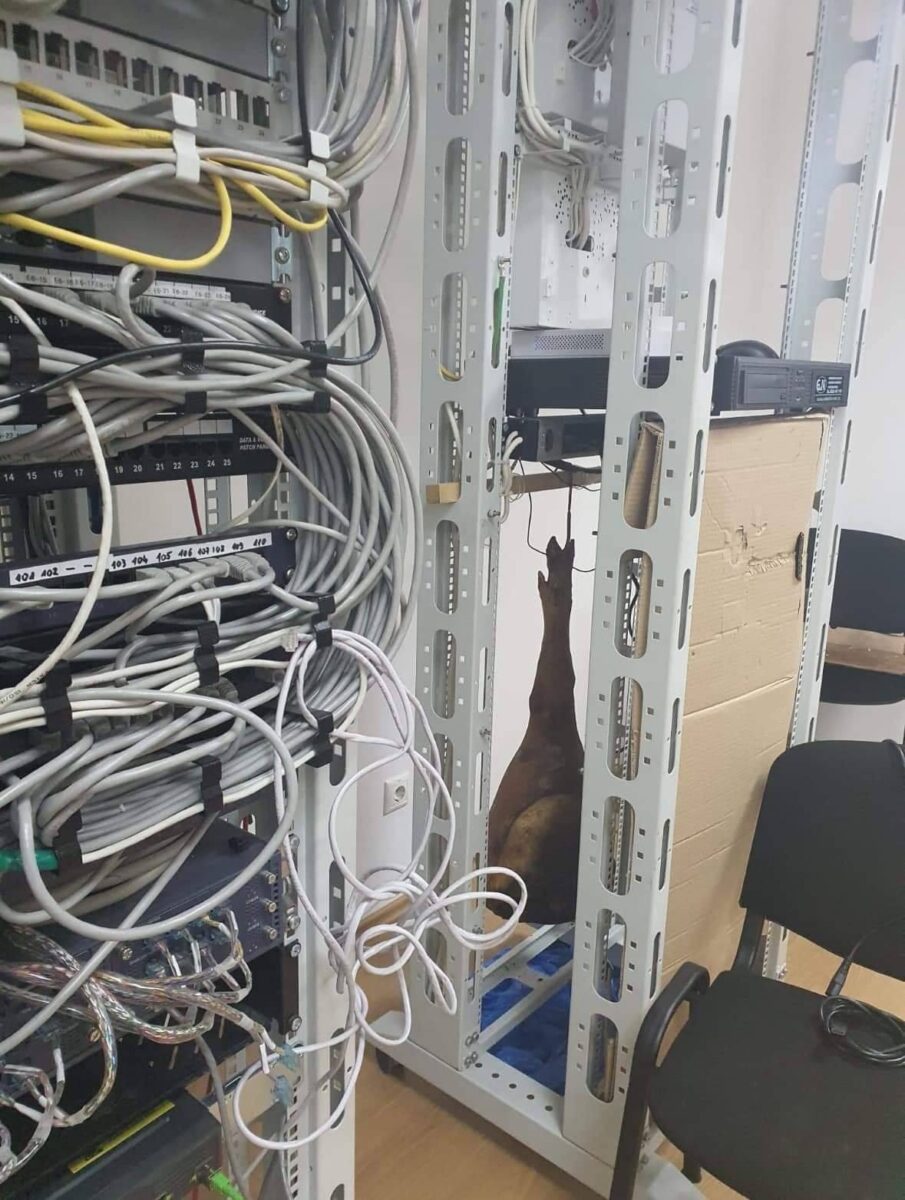Husto prepletené káble pri zariadeniach v technickom stojane.