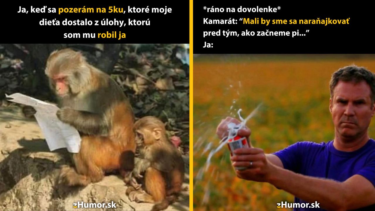 Zopár memečiek, ktoré vznikli, aby ti spríjemnili deň #1591: Určite sa niekde musela pomýliť.