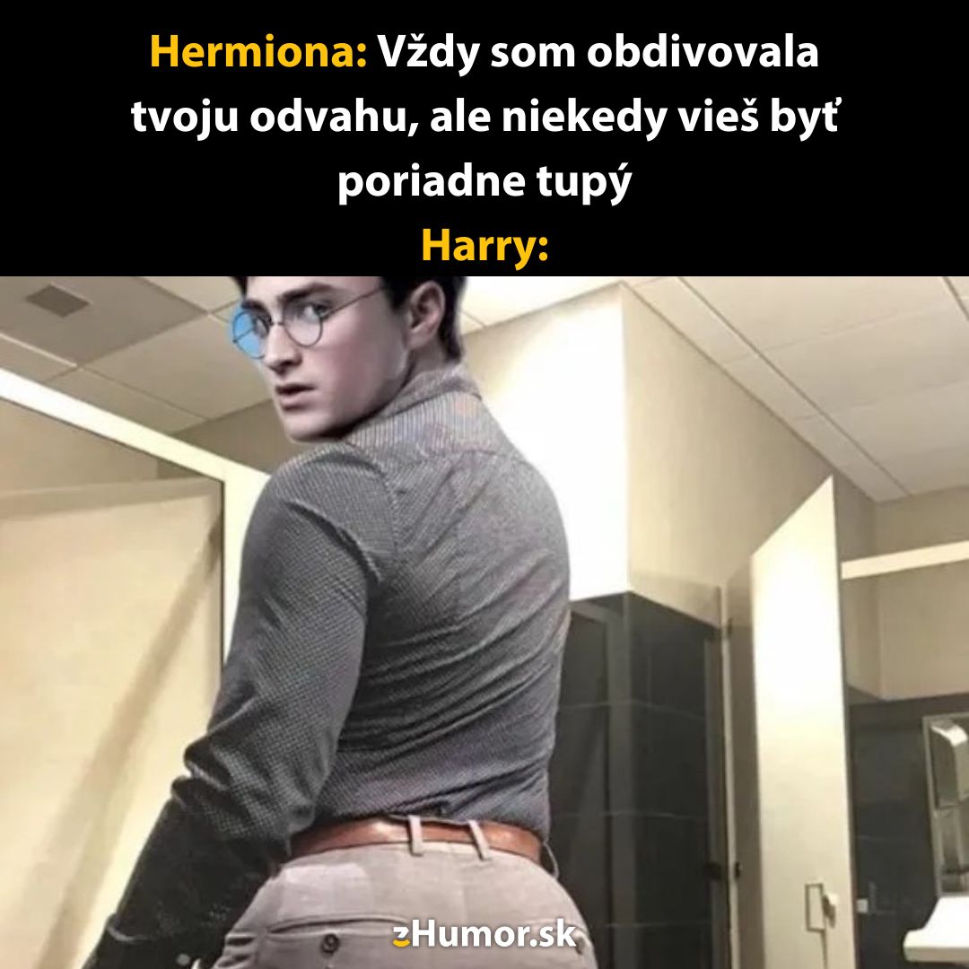 Harry vtipne pózuje v kúpeľni, pôsobí prekvapene po Hermioninom komentári o jeho odvahe a občasnej hlúposti.