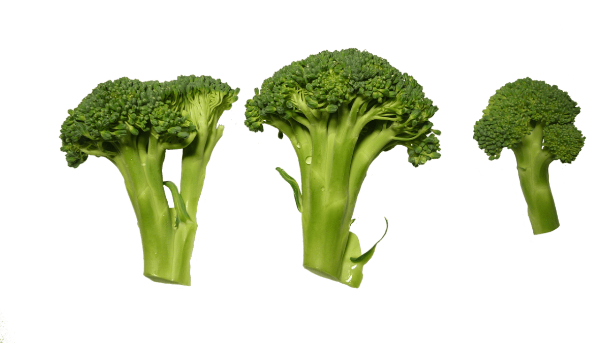 broccoli, clippings, vegetable, broccoli, broccoli, broccoli, broccoli, broccoli