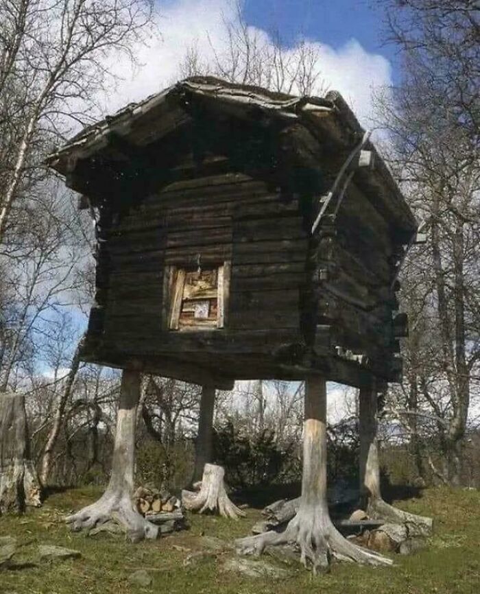 Drevená chatka na vysokých nohách v lese, pripomínajúca chalúpku na kuracích nôžkach, obklopená stromami.