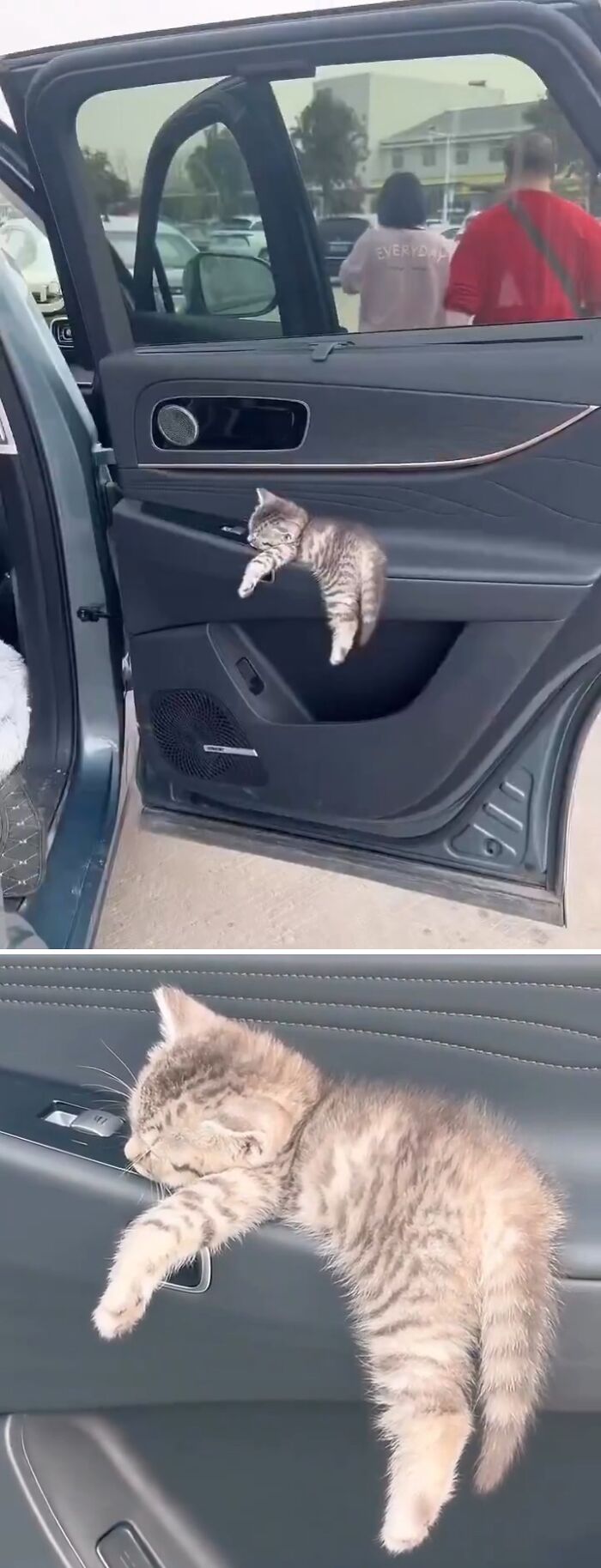 Mačiatko pohodlne spí na dverách auta počas teplého dňa na parkovisku.