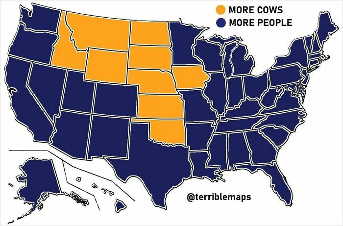 Mapa USA: Štáty s väčším počtom kráv (žltá) a väčším počtom ľudí (modrá).