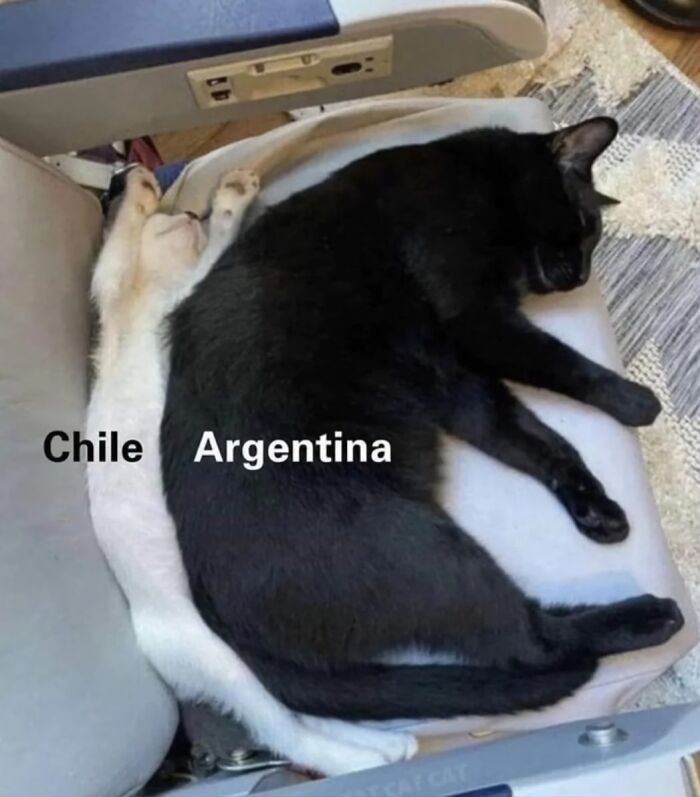 Dva mačky na sedadle, čierna a biela, s textom: Chile a Argentina, znázorňujú geografický tvar štátov.