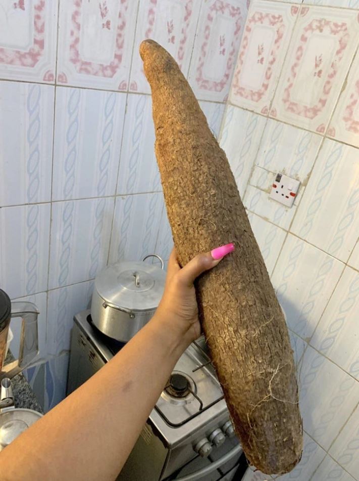 Osoba drží veľký koreň maniok v kuchyni, na pozadí je vidieť sporák a hrnce.
