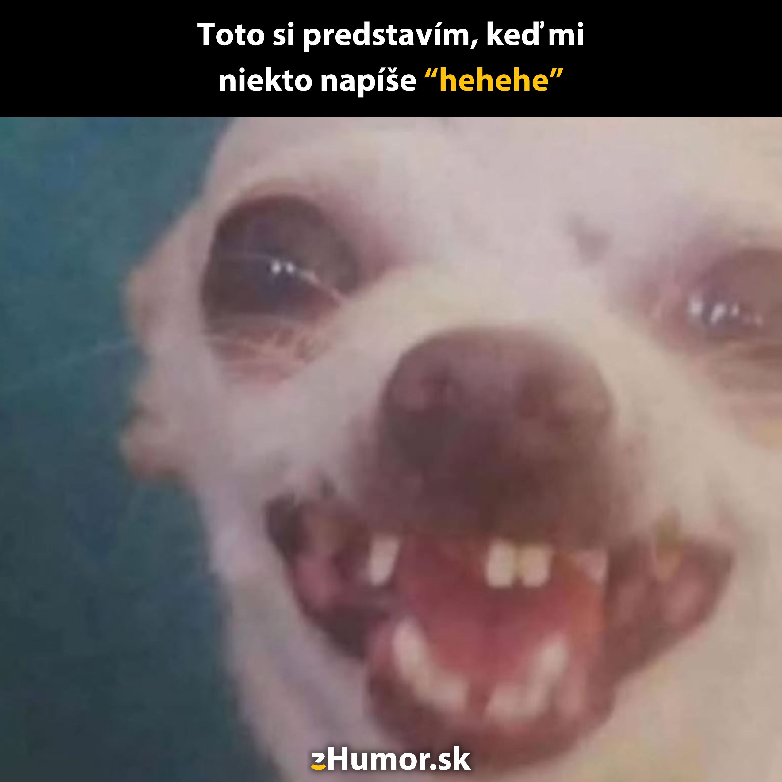 Roztomilý pes s úsmevom ilustruje reakciu na text hehehe.