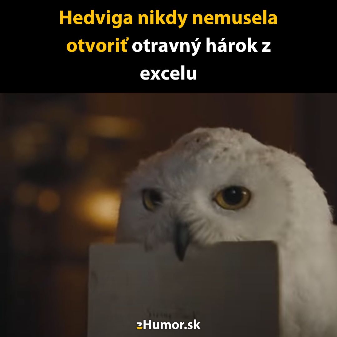 Sova drží list papiera s vtipným textom o výhodách sov oproti práci s Excelom.