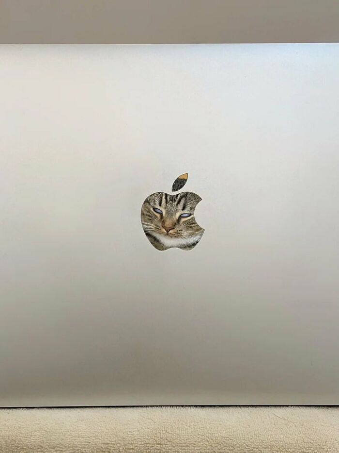 Klávesnica so samolepkou mačky s tvárou vo výreze loga Apple na laptop.