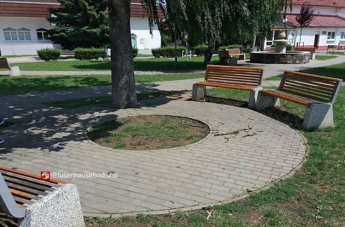Okrúhle lavičky bez stredu v parku, obklopené trávou a stromami, ideálne na oddych a relax v prírode.